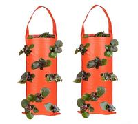 Confezione da 2 sacchetti da appendere con più scomparti per piantare fragole, pomodori, peperoni e verdure a radice poco profonda (G)