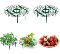 Confezione da 2 supporti per piante di fragole, supporto per la coltivazione di frutti per bacche da giardino, scaffale resistente per mantenere le colture pulite e asciutte, telaio per la