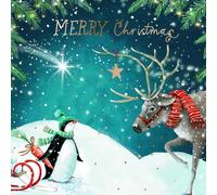 Confezione da 20 biglietti di Natale di beneficenza, British Heart Foundation, NSPCC, Marie Curie, Alzheimer's Society, Parkinson's UK e Age UK, pinguino, stelle e cervo, 10 ciascuno dei 2 disegni