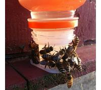 Confezione da 3 mangiatoie in plastica per api, diametro interno 27 mm, per forniture per apicoltura, mantiene l'acqua pulita, nessun rischio di annegamento, bianco