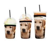 Confezione da 3 manicotti isolanti riutilizzabili in neoprene per bevande fredde, universali, per bevande fredde, copertura standard per bottiglie di birra con motivo Golden Retriever
