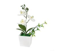Confezione da 3 orchidee Phalaenopsis artificiali in vaso, fiori di orchidea farfalla realistici, per casa, ufficio, matrimonio, composizione floreale in plastica a bassa manutenzione, 26 cm (bianco)