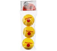 Confezione da 3 palline Tecnifibre in spugna stage 3