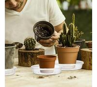 Confezione da 30 piattini per vasi di fiori in plastica, per raccogliere l'acqua troppo pieno e mantenere pulite le aree interne ed esterne (25 cm)