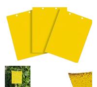 Confezione da 30 trappole adesive bifacciali per insetti, di colore giallo, specifiche per la mosca dell'olivo, adatte a catturare insetti volanti come afidi, moscerini e mosche bianche, nonché altre