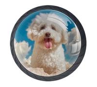 Confezione da 4 pomelli rotondi neri per porte da spiaggia a forma di cane, 35 mm, per cassetti della cucina, armadietti, mobili da cucina, con viti di 2 dimensioni