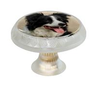 Confezione da 4 pomelli rotondi trasparenti per cassetti Border Collie, colore nero, per cassettiera, credenze, porte, mobili da cucina e bagno