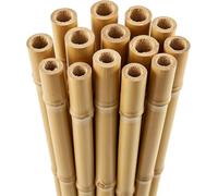 Confezione da 40 bastoncini di bambù resistenti da 1,8 m, 10-12 mm di spessore, ecologici e sostenibili per piante rampicanti, pomodori, fiori e verdure