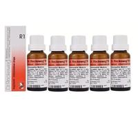 Confezione da 5 gocce omeopatiche Dr Reckeweg R1 Inflammation Drop 22 ml