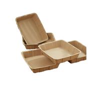 Confezione da 5 Lettiere Monouso Biodegradabili per Gatti, Vassoio In Cartone A Prova di Perdite per Gatti e Piccoli Animali