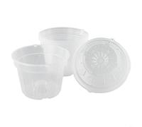 Confezione da 5 vasi per orchidee in plastica trasparente con fori di ventilazione che supportano la crescita di varietà di orchidee monoodiali e simboliche (medi)