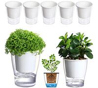 Confezione da 5 vasi trasparenti autoirriganti da 10,9 cm, piccoli vasi in plastica per piante da interno, erbe, viola africana, pianta ragno oceanico, vaso per orchidee, vasi da giardino