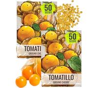 Confezione da 50 semi, terra Cherry Tomatillo Seeds (Physalis pruinosa)