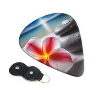 Confezione da 6 plettri per chitarra con fiore tropicale e pietra zen, con porta plettro in pelle, portachiavi, custodia per plettro, arte astratta, per chitarra elettrica acustica, ukulele, 0,46 mm