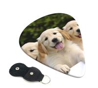 Confezione da 6 plettri per chitarra Golden Retriever Puppies, con porta plettri in pelle, portachiavi, custodia per plettro, arte astratta, per chitarra elettrica acustica, ukulele, 0,46 mm