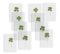 Confezione Di 10 Foglie Naturali Secche Segnalibro Libro Libro Mark Book Page Lettura Aiuto Per Gli amanti degli insegnanti Scrittori Lettori Amanti Segnalibro