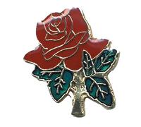 Confezione Di 50 Rosa Rossa Bicicletta Moto Cappello Spilla da Bavero HP4820