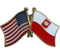 Confezione Di 50 USA Americana Polonia Aquila Amicizia Bandiera Cappello Spilla