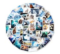 Confezione di adesivi in vinile con animali artici antartici, pinguino, orso polare, tricheco, graziosi, impermeabili, 50 pezzi per laptop notebook valigia