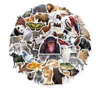Confezione di adesivi in vinile con animali dello zoo, gorilla, tigre, zebra, cammello, ragno, carino, apprendimento, decalcomanie impermeabili, 50 pezzi, per bambini, bottiglia d'acqua