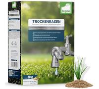 Confezione di sementi per prato, 1 kg, resistente alla siccità, per erba secca e ombreggiata, semi per erba a rapida germinazione, 40 m², ideali per nuove semine e per la risemina, semi per prato in