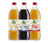 CONFEZIONE OFFERTA 3 SUCCHI DI FRUTTA BIO | MELCHIORI