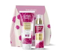 Confezione Peonia