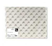 Confezione Pz 10 Foglio The Wall Gr.200/mq Cm.50x70 Bianco Extra Liscio