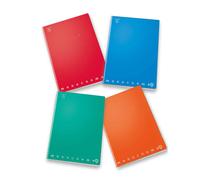 Confezione Pz 10 Maxiquaderno A4 P.m. Monocromo Q.i. 40fg 80gr Quadretto Intelli