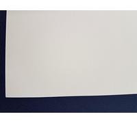 Confezione Pz 10 Tiziano Gr.160/mq Cm.70x100 Bianco