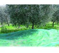 Confine RETE PER OLIVE TIPO CALABRESE (gr/mq 32) rotolo mt. 4x250