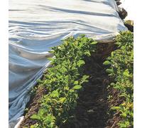 Confine TELO ANTIGELO IN TNT A ROTOLO PER SEMI E PIANTINE mt. 2,40x250