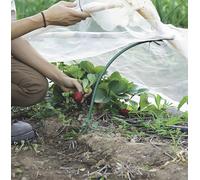 Confine TELO ANTIGELO IN TNT PER SEMI E PIANTINE mt. 1,60x30