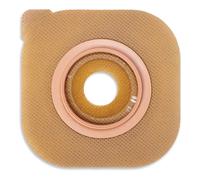 HOLLI Conf.2 Pl.Pia Cerapl.45