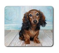 Confortevole Mat Mouse - Brown dai capelli lunghi cane bassotto 23.5 x 19.6 cm (9.3 x 7.7 pollici) per il calcolatore & computer portatile, ufficio, regalo, base antiscivolo - RM16325