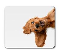 Confortevole Mat Mouse - Cocker Spaniel Inglese cane del cucciolo di 23,5 x 19,6 cm (9,3 x 7,7 pollici) per il calcolatore & computer portatile, ufficio, regalo, base antiscivolo - RM21501