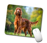 Confortevole Tappetino per Il Mouse Irish Setter Dog Photo Gaming Mousepad Tappetino per Mouse 25x30cm per Laptop,PC,Ufficio