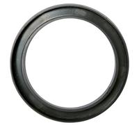 Conga - Bottom Conga City Serie - Lp646ny - Lp647ny