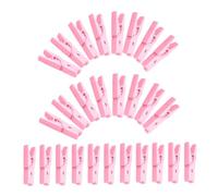 CONGARTENO 100pezzi Mini Molletta Rosa Mollette Foto Rosa Mini Clip Molletta Artigianali Mollette Bucato Resistenti Pioli Multiuso Foto Casa Organizer Appendere Dipinti