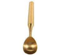 CONGARTENO Cucchiaio Gelato Piccolo in Acciaio Dorato Paletta Versatile Antiaderente con Manico per Gelato Frutta e Dessert Facile da per e Porzionatura Uniforme