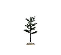 Conifer Tree, Small Cod. 64091