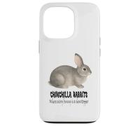 Conigli cincillà dove ogni coniglio è uno spettacolo Custodia per iPhone 13 Pro