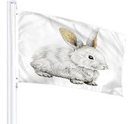 Coniglio Bandiera 4x6 FT Coniglietto di Pasqua Simpatico Animale Lepre Orecchie Lunghe Bandiere per Esterni Grande Benvenuto Cortile Striscioni Casa Giardino Cortile Prato Decor