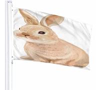 Coniglio Bandiera Decor 3x5 Ft Simpatico Animale Schizzo Peloso Animale Domestico Soffice Lepre Mammifero Dolce Sit Look Poliestere Stampato Motivo Decorazioni per Esterni per Case e Giardini