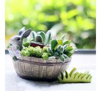 Coniglio Grigio Pot Fioriera Per Del Fiore Succulente Cactus Erbe