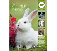 Coniglio nano - Avanzi Marta