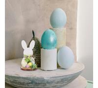 Coniglio Pasquale in Fattoria Fiori Decorazioni Pasquali Primaverili