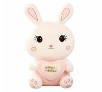 Coniglio peluche abbraccio cuore, cuscino carino, regalo per ragazze