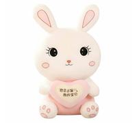 Coniglio peluche abbraccio cuore, cuscino carino, regalo per ragazze