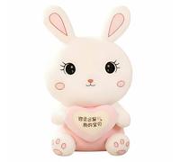 Coniglio peluche abbraccio cuore, cuscino carino, regalo per ragazze